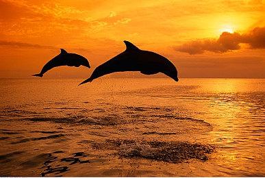 生存恐怖《信号》试玩版上线Steam 支持中文